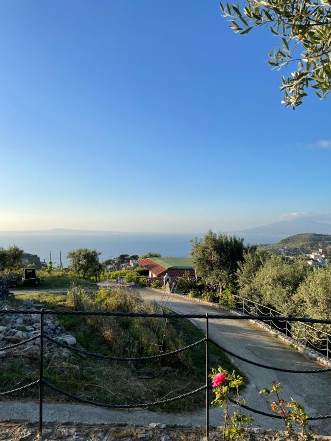Loren House, Relaxing Location With Seaview Massa Lubrense Kültér fotó